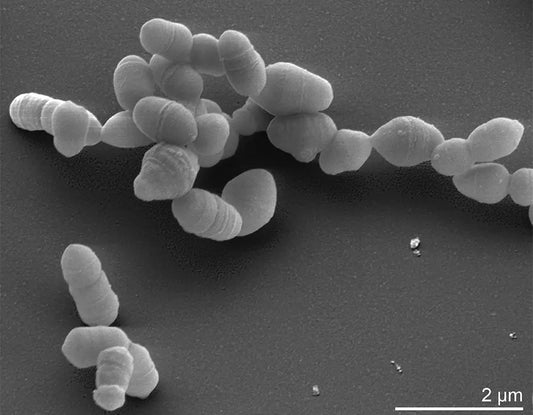 The Miracle of Colloidal Silver