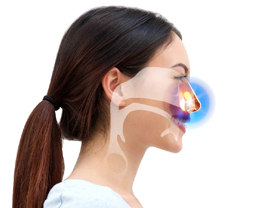 Ears, Nose & Throat (ENT)